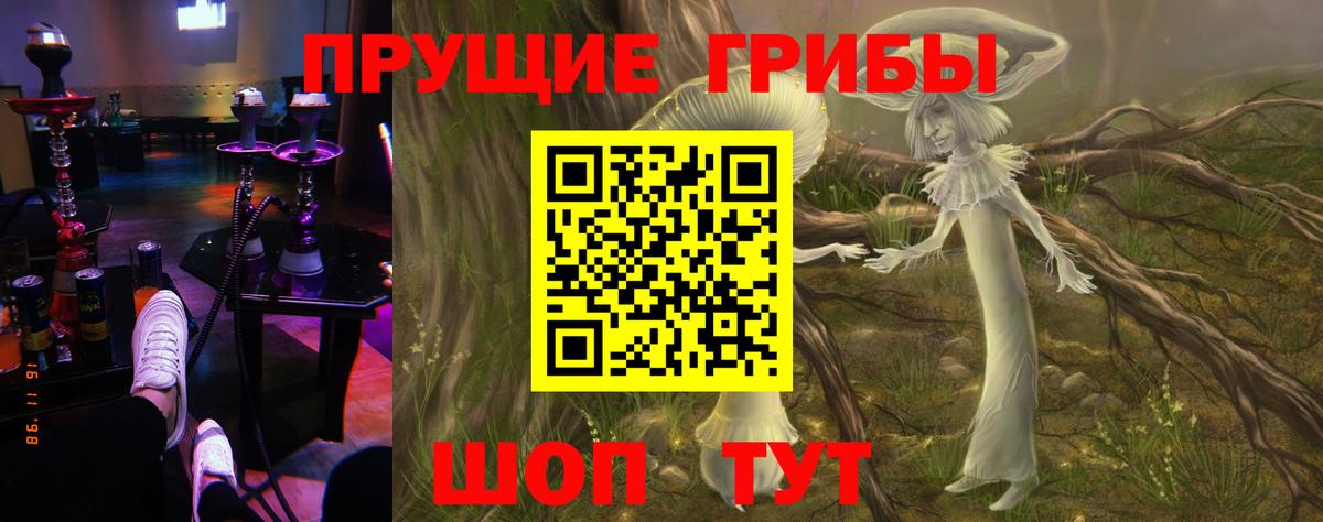 Галлюциногенные грибы мицелий  где продают   Галлюциногенные грибы мицелий  Димитровград  Вход с VPN 